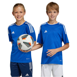 adidas Campeon 23 Trikot Kinder AD8R - royblu 128