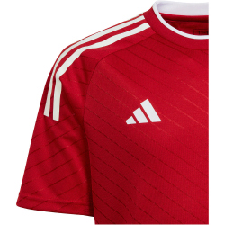 adidas Campeon 23 Trikot Kinder AEPU - tepore 128