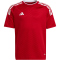 adidas Campeon 23 Trikot Kinder AEPU - tepore 128