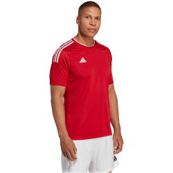 adidas Campeon 23 Trikot Herren AEPU - tepore XS