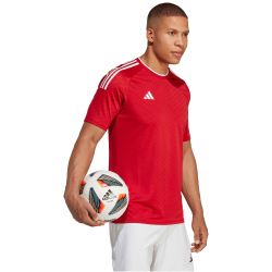 adidas Campeon 23 Trikot Herren AEPU - tepore XS