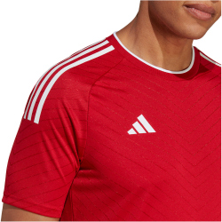 adidas Campeon 23 Trikot Herren AEPU - tepore XS