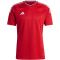 adidas Campeon 23 Trikot Herren AEPU - tepore XS