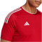 adidas Campeon 23 Trikot Herren AEPU - tepore XS