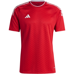 adidas Campeon 23 Trikot Herren AEPU - tepore S