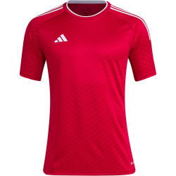 adidas Campeon 23 Trikot Herren AEPU - tepore S