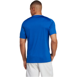 adidas Campeon 23 Trikot Herren AD8R - royblu S