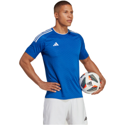 adidas Campeon 23 Trikot Herren AD8R - royblu S
