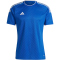 adidas Campeon 23 Trikot Herren AD8R - royblu S