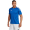 adidas Campeon 23 Trikot Herren AD8R - royblu S