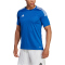 adidas Campeon 23 Trikot Herren AD8R - royblu S