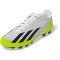 adidas X Crazyfast.4 FxG Multi-Ground Fußballschuhe Herren 01F7 - ftwwht/cblack/luclem 46