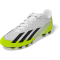 adidas X Crazyfast.4 FxG Multi-Ground Fußballschuhe Herren 01F7 - ftwwht/cblack/luclem 46 2/3