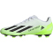 adidas X Crazyfast.4 FxG Multi-Ground Fußballschuhe Herren 01F7 - ftwwht/cblack/luclem 46 2/3
