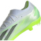 adidas X Crazyfast.2 FG Fußballschuhe Herren 01F7 - ftwwht/cblack/luclem 42
