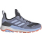 adidas TERREX Trailmaker GORE-TEX Wanderschuhe Herren AESY - silvio/bludaw/cblack 41 1/3