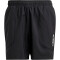 adidas TERREX Multi Outdoorshorts Herren 095A - black S