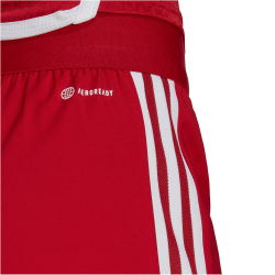 adidas Tiro 23 Competition Match Shorts Damen AEPU - tepore/white XS