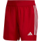 adidas Tiro 23 Competition Match Shorts Damen AEPU - tepore/white XS