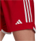 adidas Tiro 23 Competition Match Shorts Damen AEPU - tepore/white XS