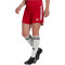 adidas Tiro 23 Competition Match Shorts Damen AEPU - tepore/white S