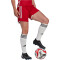adidas Tiro 23 Competition Match Shorts Damen AEPU - tepore/white S