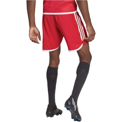 adidas Tiro 23 Competition Match Trainingsshorts Herren AEPU - tepore/white XS