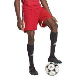 adidas Tiro 23 Competition Match Trainingsshorts Herren AEPU - tepore/white XS