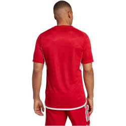 adidas Tiro 23 Competition Match Trikot Herren AEPU - tepore/white M