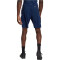 adidas Tiro 23 Competition Trainingsshorts Herren AEQ1 - tenabl L