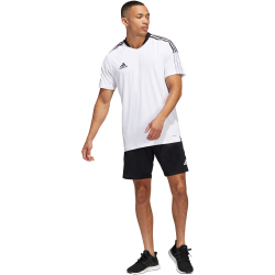 adidas Tiro 23 Competition Trainingsshorts Herren 095A - black S