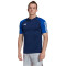 adidas Tiro 23 Competition Trikot Herren AEQ1 - tenabl S