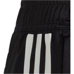 adidas Tiro 23 Competition Trainingsshorts Kinder 095A - black 116