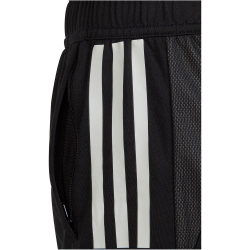 adidas Tiro 23 Competition Trainingsshorts Kinder 095A - black 116