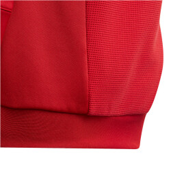 adidas Tiro 23 Competition Hoodie Kinder AEPU - tepore 128