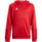 adidas Tiro 23 Competition Hoodie Kinder AEPU - tepore 128