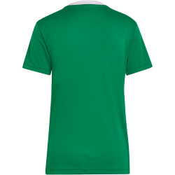 adidas Entrada 22 Trikot Damen ADCZ - teagrn/white XXS