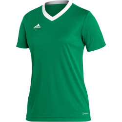 adidas Entrada 22 Trikot Damen HI2124 - team green/white XXS