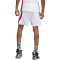 adidas Icon Squad Basketballshorts Herren 001A - white/tmpwrd M/T