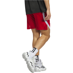 adidas Icon Squad Basketballshorts Herren ADF1 - tmpwrd/white/white S