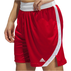 adidas Icon Squad Basketballshorts Herren ADF1 - tmpwrd/white/white S