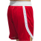 adidas Icon Squad Basketballshorts Herren ADF1 - tmpwrd/white/white S