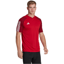 adidas Tiro 23 Competition Trikot Herren AEPU - tepore S