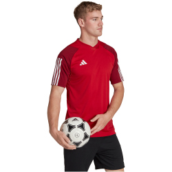 adidas Tiro 23 Competition Trikot Herren AEPU - tepore S