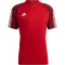 adidas Tiro 23 Competition Trikot Herren AEPU - tepore S
