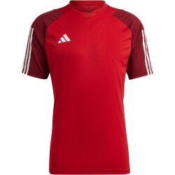 adidas Tiro 23 Competition Trikot Herren AEPU - tepore L