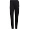 adidas Entrada 22 Trainingshose Damen 095A - black M