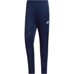 adidas ENT22 TR PNT AEQ1 - tenabl MT2