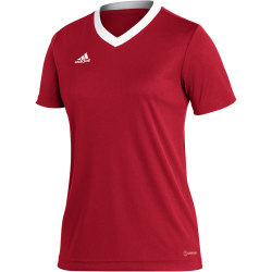 adidas Entrada 22 Trikot Damen AEPU - tepore L