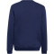 adidas Entrada 22 Sweatshirt Kinder AEQ1 - tenabl 116